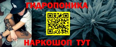 прущие грибы Баксан