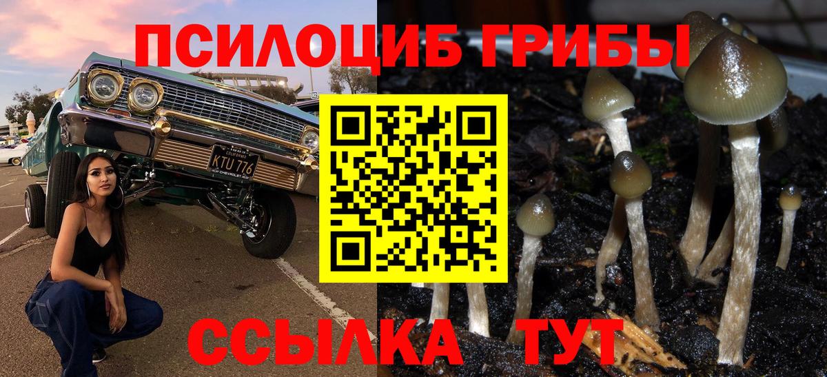 Галлюциногенные грибы мицелий  Вход с VPN  Ачхой-Мартан  наркошоп  Галлюциногенные грибы ЛСД 